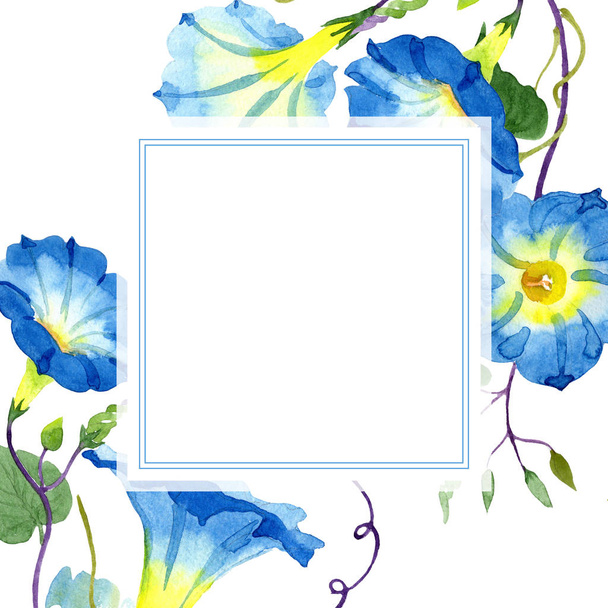 Ipomoea blue. Floral botanical flower. Frame border ornament square. - Fotografie, Obrázek