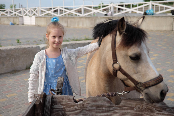 little girl cleans and combs her pony and saddles him to ride - Foto, afbeelding