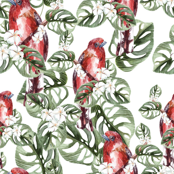 Palmiye yaprakları, çiçek plumeria, kırmızı kuş ile güzel suluboya kesintisiz, tropikal orman çiçek desenli arka plan.  - Fotoğraf, Görsel