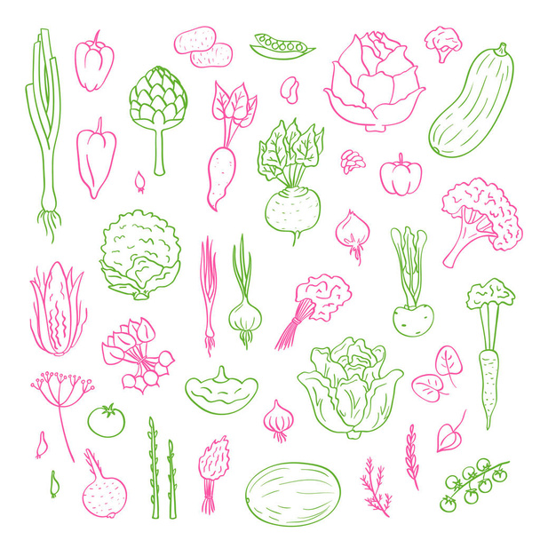 Vector dibujado a mano garabatos verduras iconos conjunto ilustración
 - Vector, Imagen