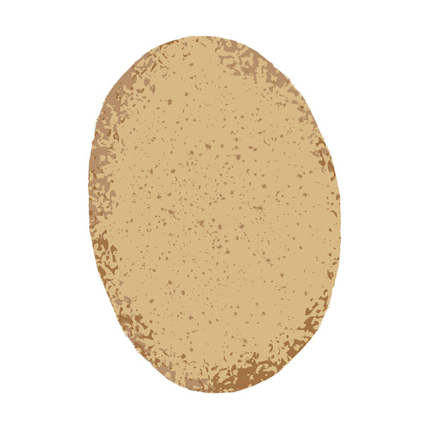 Getextureerde vectorillustratie van een geïsoleerde aardappel. - Vector, afbeelding