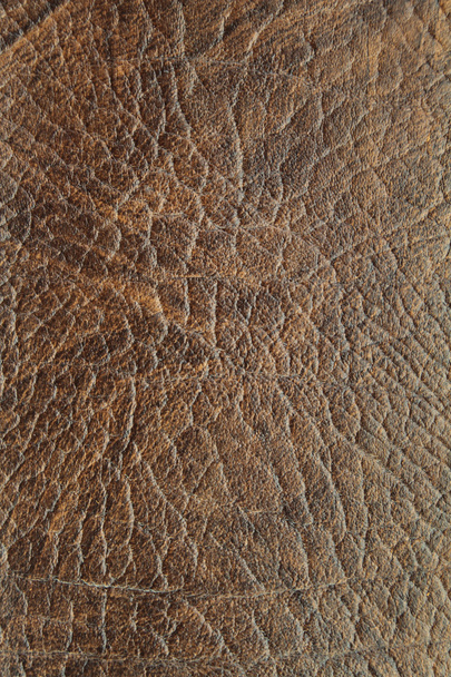 Leather texture background - Photo, Image