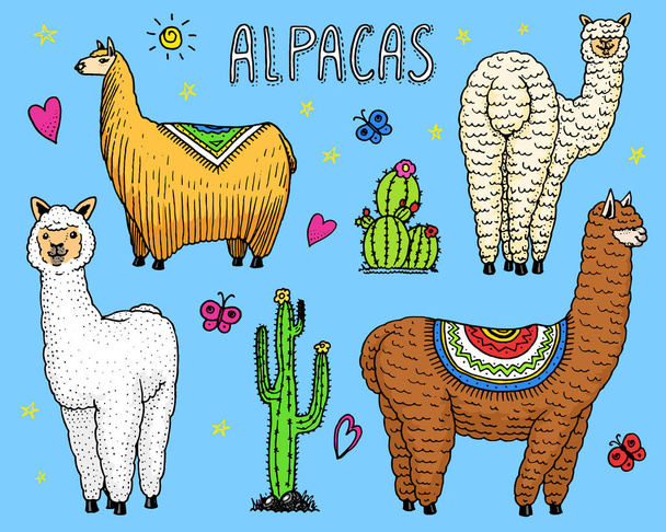 Conjunto de bonito Alpaca Llamas ou guanaco selvagem no fundo do cacto. Animais sorridentes engraçados no Peru para cartões, cartazes, convites, camisetas. Elementos desenhados à mão. Esboço gravado
. - Vetor, Imagem