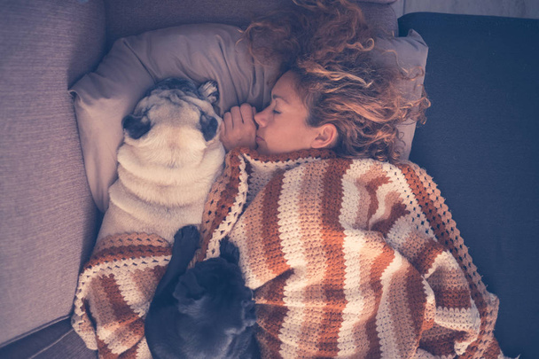 Настоящая любовь спать все вместе по утрам молодая красивая кавказская женщина и два красивых мопса собака защищает ее и имеют нежность к ним. дружба между человеком и животными
 - Фото, изображение