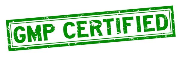 Grunge green GMP (Good Manufacturing Practice) sertifioitu neliön kumitiiviste leima valkoisella pohjalla
 - Vektori, kuva