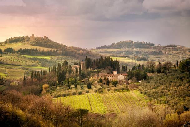 Виноградники Кьянти в Тоскане, Италия. - Фото, изображение
