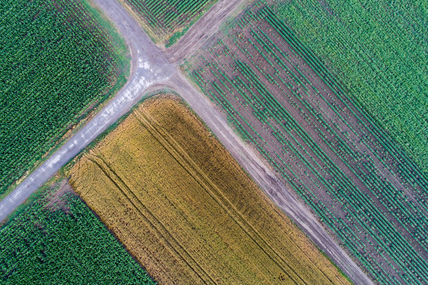 Γεωμετρικά σχήματα αφηρημένα των αγροτεμαχίων των διαφόρων καλλιεργειών. Αεροφωτογραφία πυροβολούν από drone άμεσα πάνω από το πεδίο - Φωτογραφία, εικόνα