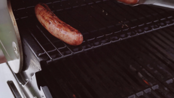 Hot dogs and bratwurst  - 映像、動画