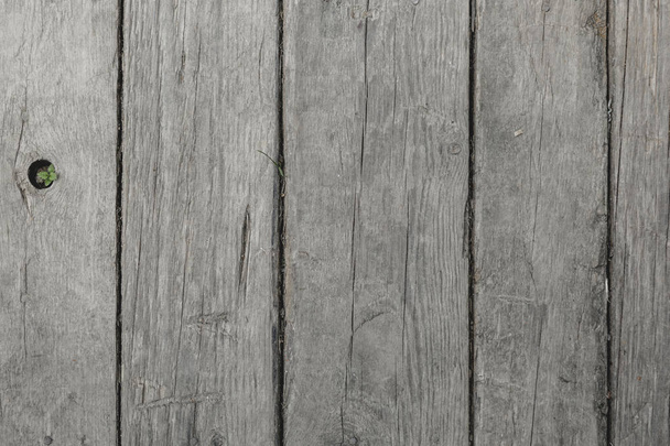 Old dirty wooden texture background, The surface of the old grey wood texture - Fotografie, Obrázek