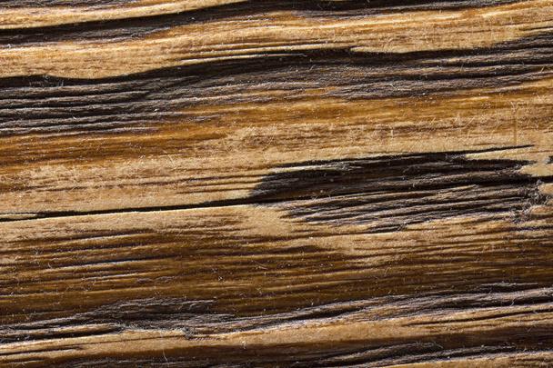 textura de grão marrom de madeira, vista superior de madeira tabela parede de madeira fundo
 - Foto, Imagem
