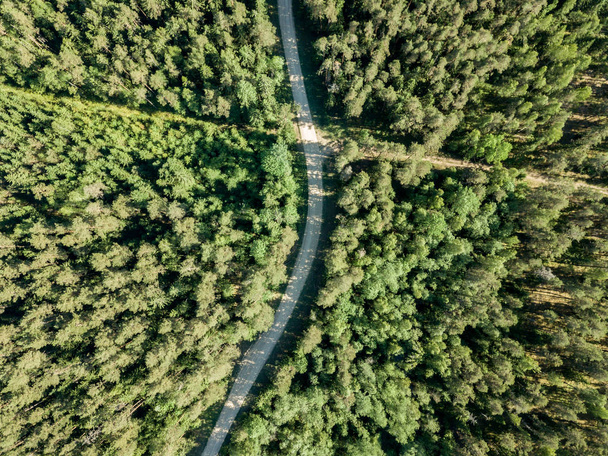 DRONY obrázek. štěrková cesta obklopená borovým lesem shora. letní krajina v Lotyšsku - Fotografie, Obrázek