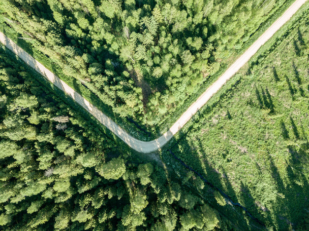 Drohnenbild. Schotterstraße, von oben von Kiefernwald umgeben. Sommerliche Landschaft in Lettland - Foto, Bild