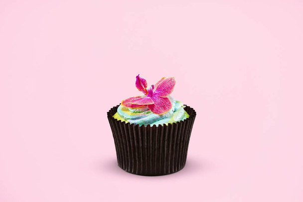 Cupcake. Cake Dessert On Colorful Pink Background. Close Up Of Tasty Pastry. High Resolution - Фото, зображення