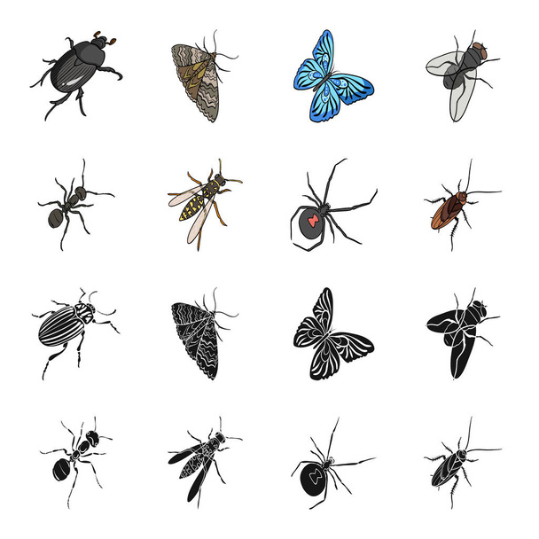 Un artrópodo de insectos, una osa, una araña, una cucaracha. Iconos de colección conjunto de insectos en negro, caricatura estilo vector símbolo stock ilustración isométrica web
. - Vector, imagen