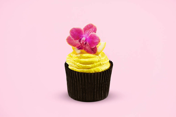 Cupcake. Cake Dessert On Colorful Pink Background. Close Up Of Tasty Pastry. High Resolution - Foto, Imagen