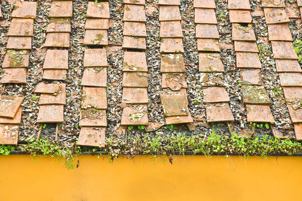 Old damaged traditional tuscany terracotta roof (Italy) - Photo, Image