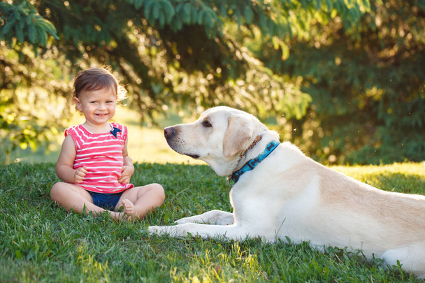 Portrait of cute adorable little Caucasian European baby girl sitting with dog in park outside. Child feeding animal domestic pet. Happy childhood concept - Foto, Bild