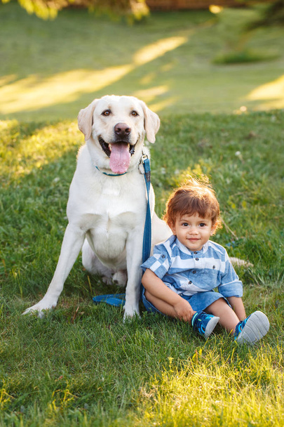 Portrait of cute adorable little Caucasian baby boy sitting with dog in park outside. Smiling child holding animal domestic pet. Happy childhood concept - Фото, изображение