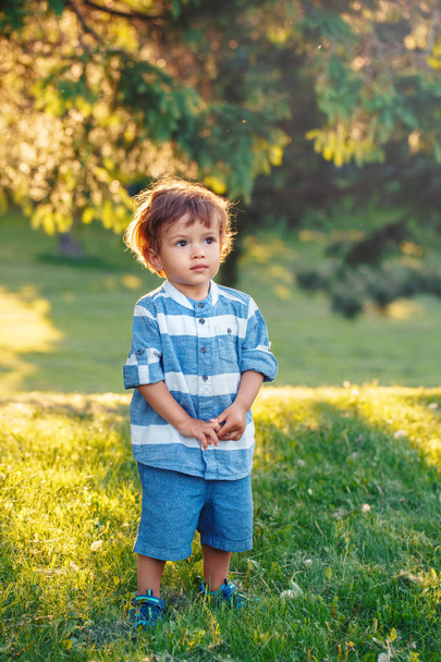 Cute adorable little Caucasian coloured boy child in blue shirt and shorts standing in field meadow outside. Happy pensive dreaming kid walking looking up in air in park on sunset.  - Foto, Imagen