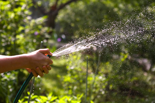 子供の手が夏日当たりの良い緑豊かな庭園に水を噴出させ、ホースを保持します。 - 写真・画像