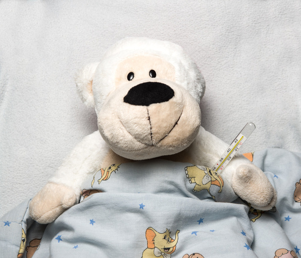 Urso na cama
 - Foto, Imagem