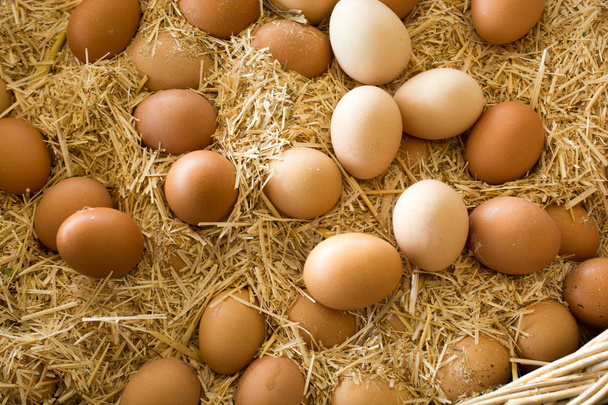 Βιολογικά φρέσκα αυγά φάρμας στην αγορά - Φωτογραφία, εικόνα