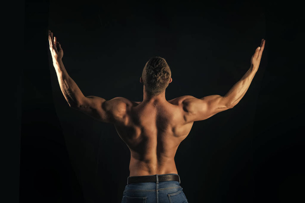 bodybuilding. Symmetry, muscularity concept - Fotografie, Obrázek