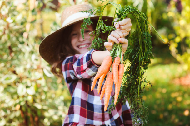 happy farmer child girl picking fresh home growth carrot harvest from own garden. Seasonal autumn and summer work. - Zdjęcie, obraz