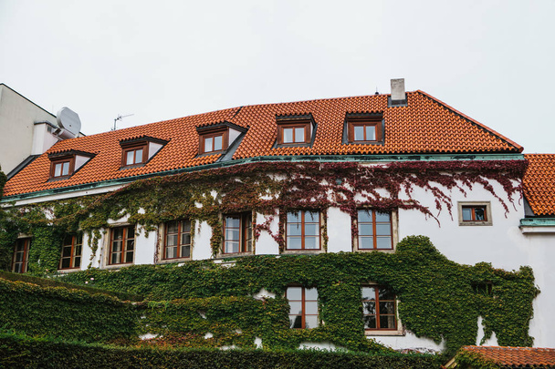 A casa tradicional é coberta com plantas ao lado do jardim Vrbov em Praga, na República Checa. Arquitetura tradicional checa
 - Foto, Imagem