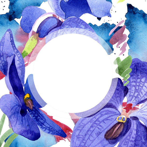 Vanda orchidea kék. Virágos botanikai virág. Test határ Dísz tér. A háttér textúra, burkoló minta, keret vagy határ Aquarelle vadvirág. - Fotó, kép