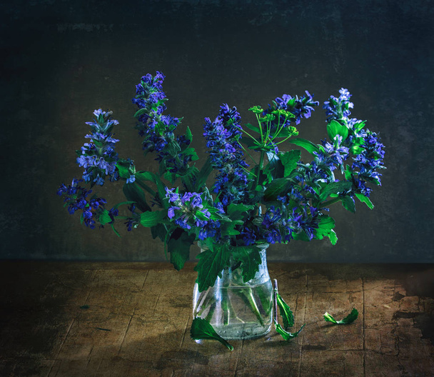 bouquet of wildflowers. minimalism. ajuga reptans. - Photo, Image