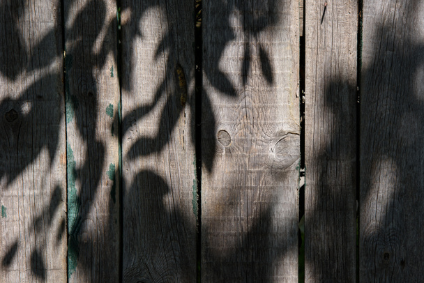 imagen de marco completo de valla de madera con sombra de hojas de fondo
  - Foto, Imagen