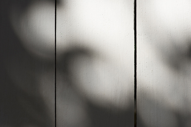 immagine full frame di assi di legno con sfondo luce solare
 - Foto, immagini
