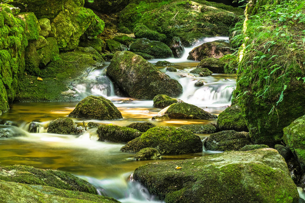Piękny górski potok z Moss objęte Subskrypcją kamienie, krajobraz w lesie - Zdjęcie, obraz
