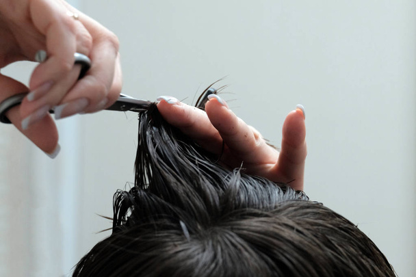 Las manos femeninas con tijeras cortan las puntas del pelo en la cabeza del tipo. Primer plano de los cortes de pelo en una peluquería
. - Foto, imagen