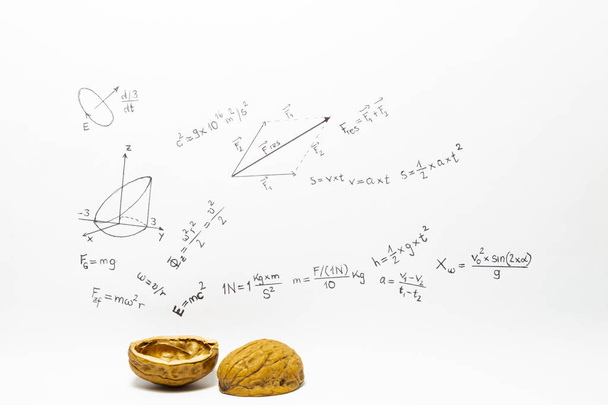 Fyzika v kostce pojmu fráze. Fyzikální vzorce na bílém papíře s vlašskými ořechy - Fotografie, Obrázek