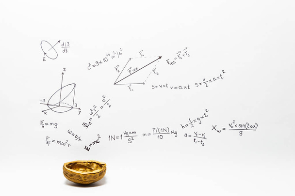 Concept van de zinsnede natuurkunde in een notendop. Natuurkunde formules getekend op wit papier met een walnoot shell - Foto, afbeelding