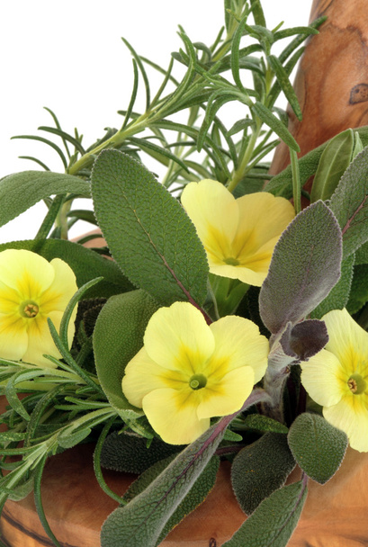 Primrose Flowers and Herbs - Photo, Image