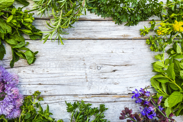 Frame with freshly cut herbs on a rustic wooden background. - Photo, Image
