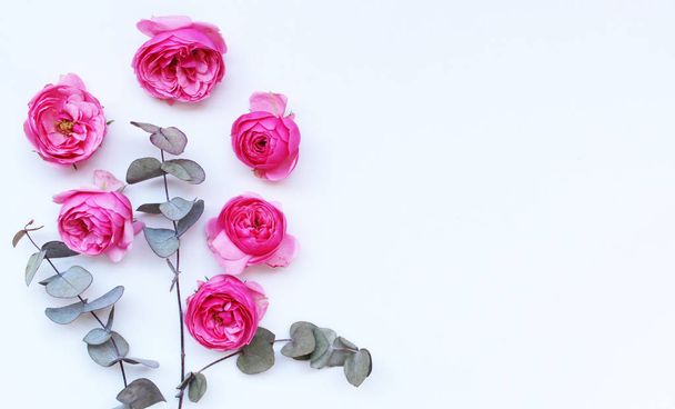 Hermosas rosas rosadas y hojas de eucalipto esparcidas sobre un fondo blanco, vista aérea. Acostado. Vista superior. Espacio vacío para tu texto. Concepto de tarjeta de amor y romance
. - Foto, Imagen