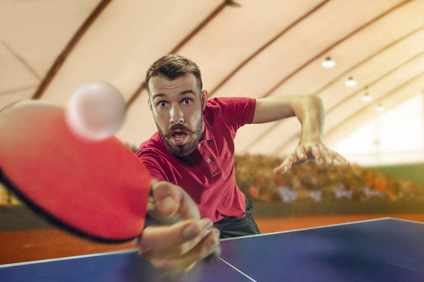 The table tennis player serving - Zdjęcie, obraz