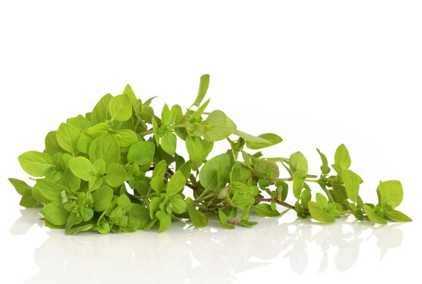 Oregano Herb Leaves - Photo, Image