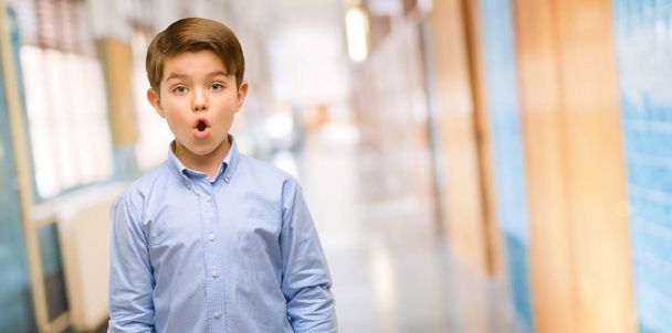 Pěkný batole dítě se zelenýma očima, šťastný a překvapení, fandění exprimují wow gesto na školní chodbě - Fotografie, Obrázek