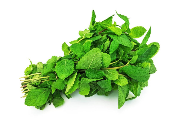 Fresh Mint On White Background, green herb isolated - Photo, Image