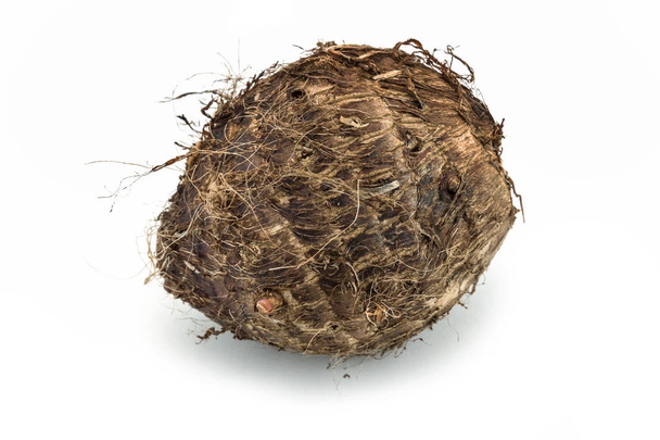 Taro, close up of root vegetable on white background - Photo, Image