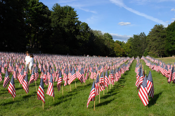 Campo de banderas americanas
 - Foto, Imagen