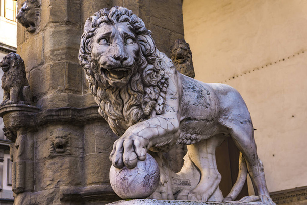 Closeup detail of Medici lions from Florence, Italy - Zdjęcie, obraz