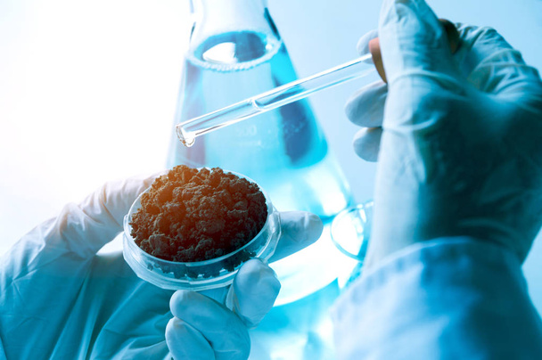 Badacz ze szklanymi laboratoryjnymi probówkami chemicznymi z cieczą do koncepcji badań analitycznych, medycznych, farmaceutycznych i naukowych. - Zdjęcie, obraz