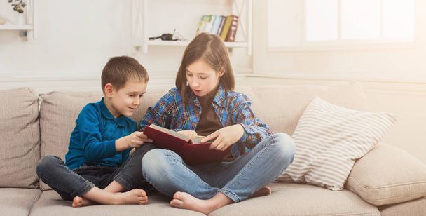 Молодая девушка читает книгу для своего брата
 - Фото, изображение