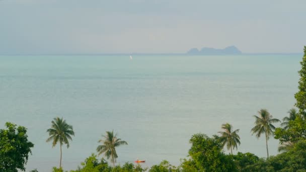 Egzotikus kókusz pálmafák helyezi a szél. Trópusi táj. Idilli paradicsomi sziget strandja. - Felvétel, videó